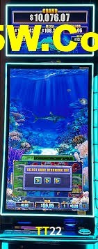 Live Casino TT22